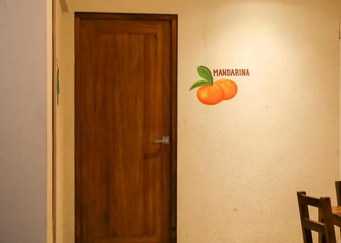 Hotel Casa Ortiz Ciudad Valles