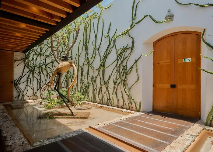 Hotel Casa Carmen Xólotl Oaxaca