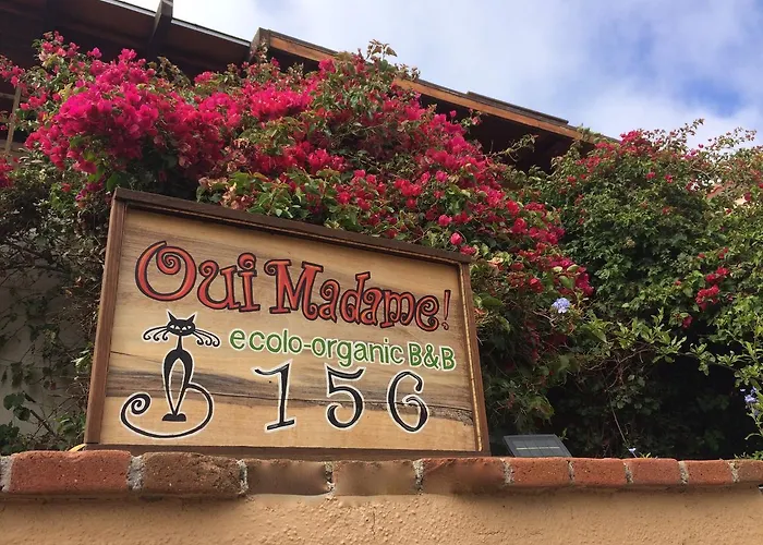 B&B Oui Madame Tijuana